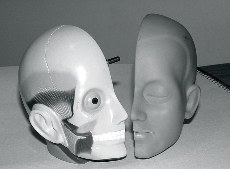 plastic-model-head-3-1425187